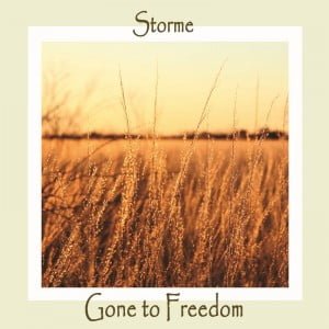 Gone to Freedom by Storme - Frontcover